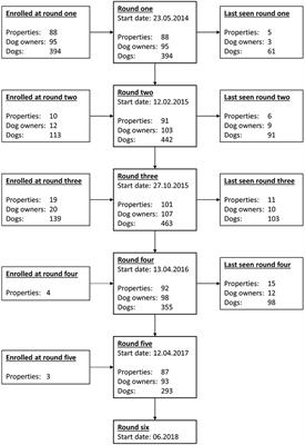 TeamMate: A Longitudinal Study of New Zealand Working Farm Dogs. II. Occurrence of Musculoskeletal Abnormalities